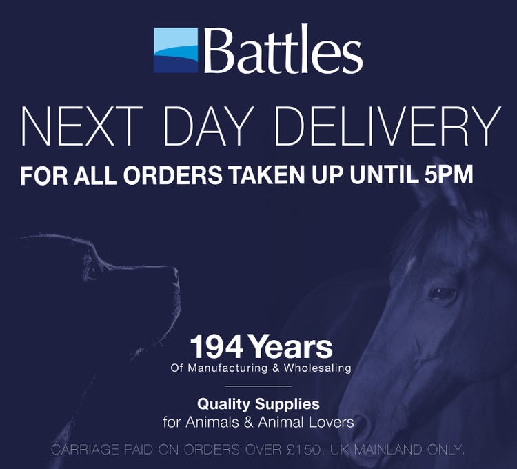 12 Days of Christmas